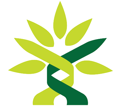 SACTA NPC